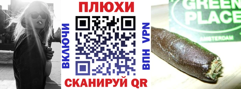 ГАШ Premium  Короча 