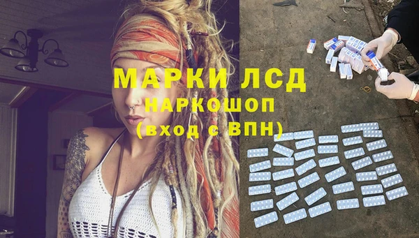 мяу мяу мука Коряжма