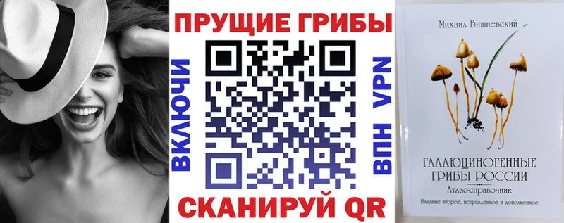 Псилоцибиновые грибы мицелий  закладка  Короча 