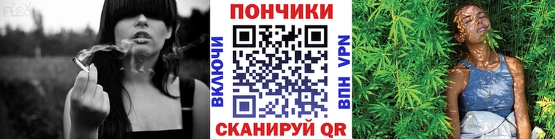 Каннабис ГИДРОПОН  Короча 